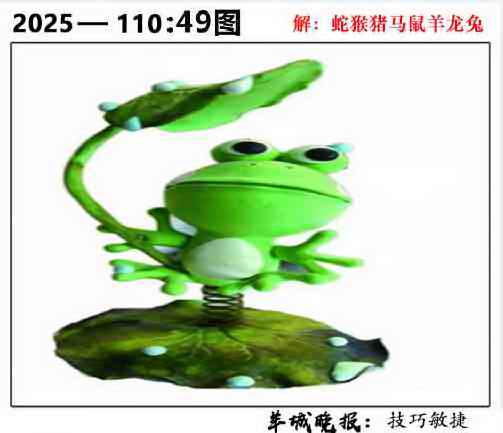 六合彩110期49图