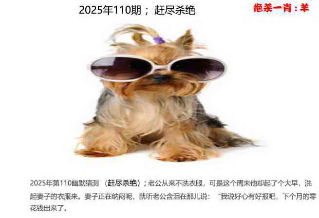六合彩110期幽默猜测