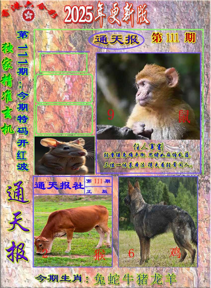 六合彩111期新通报