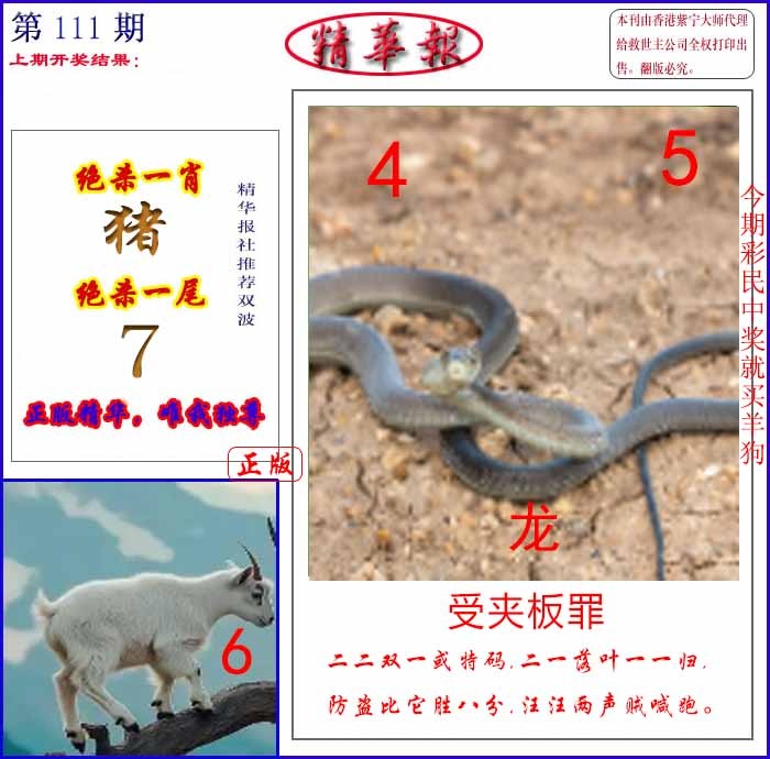 六合彩111期新精华报报