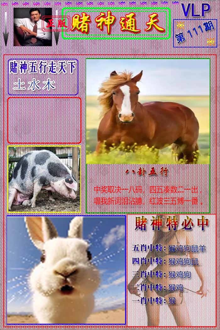 六合彩111期赌神通天报