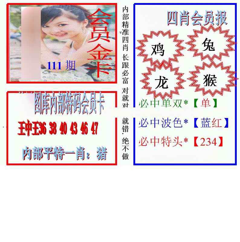 六合彩111期马经四肖会员报(新图)