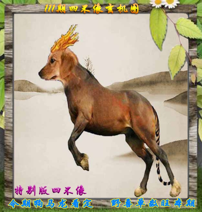 六合彩111期四不像特别版