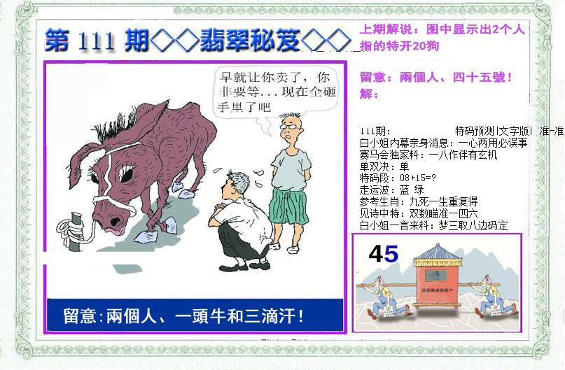 六合彩111期另翡翠秘笈(信封)