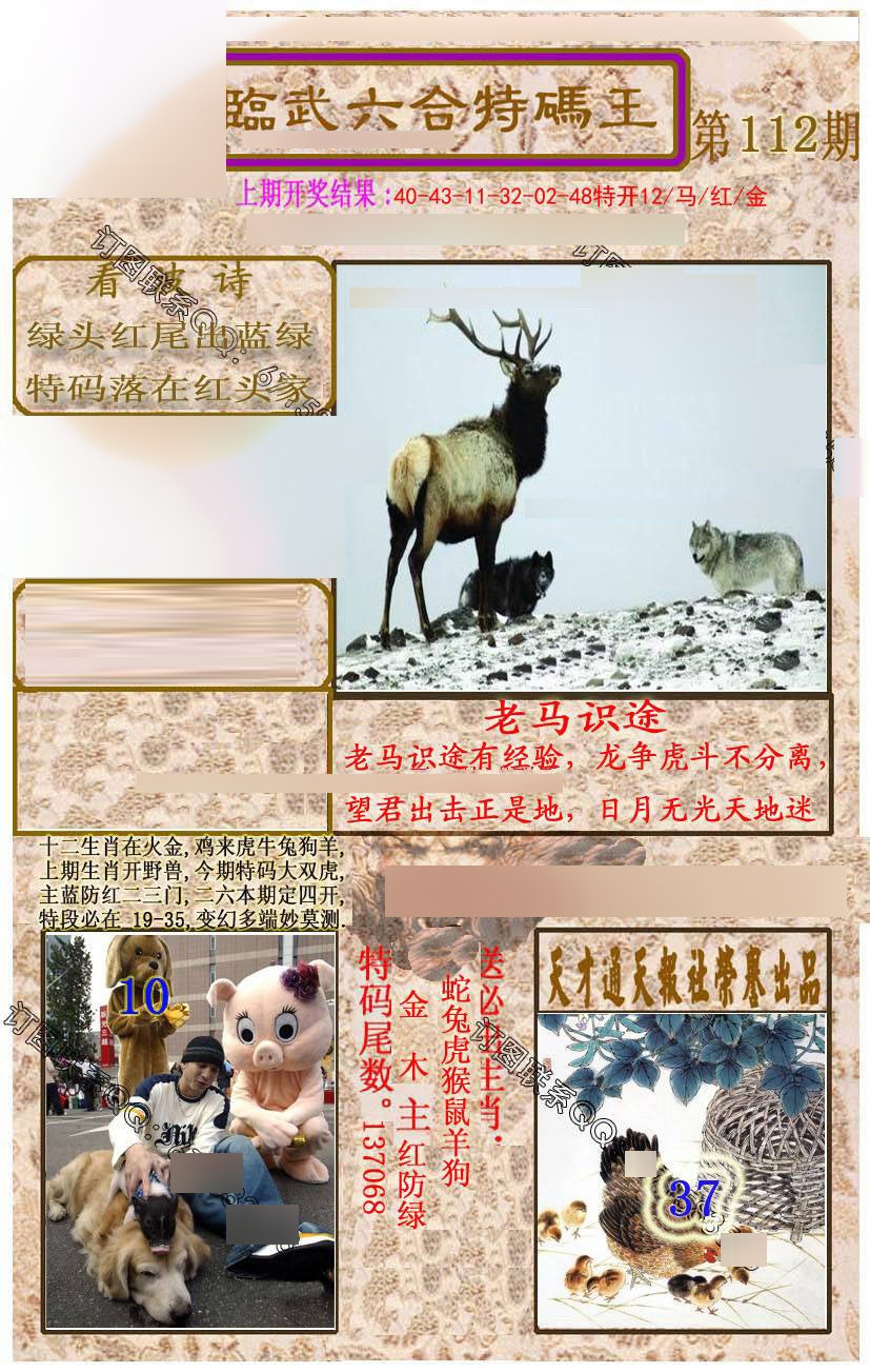 六合彩112期临武六合特码王