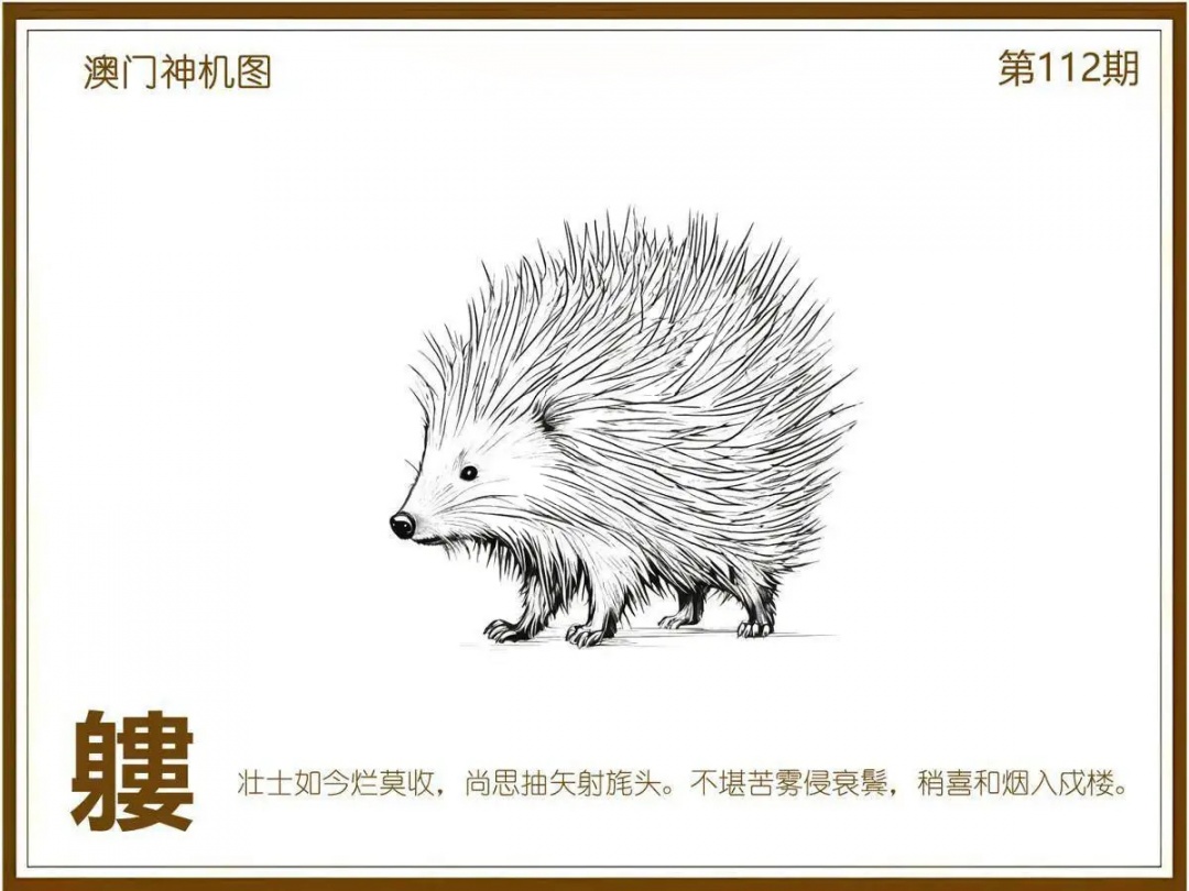 六合彩112期澳门神机图