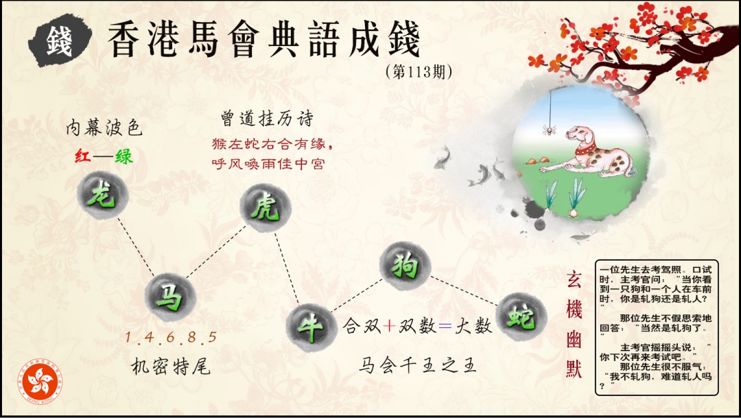 六合彩113期典语成钱