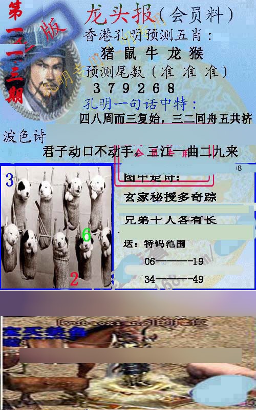 六合彩113期龙头报
