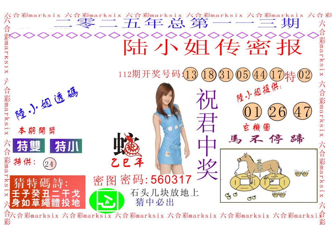 六合彩113期陆小姐传密A