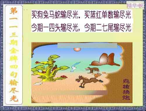 六合彩113期金牌四句输尽光
