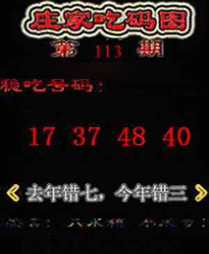 六合彩113期庄家吃码图
