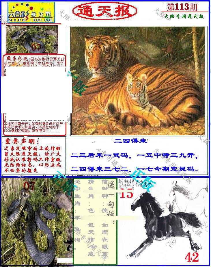 六合彩113期大陆通天报