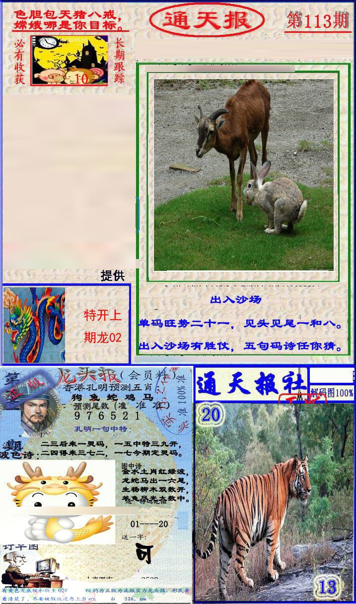 六合彩113期实力通天报