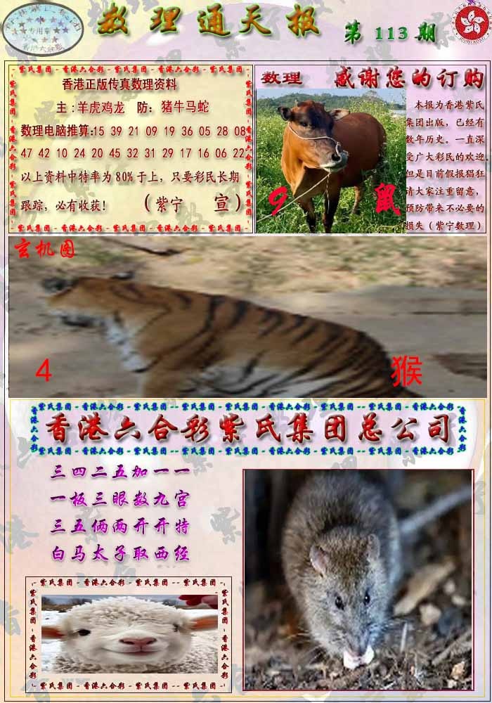 六合彩113期数通报
