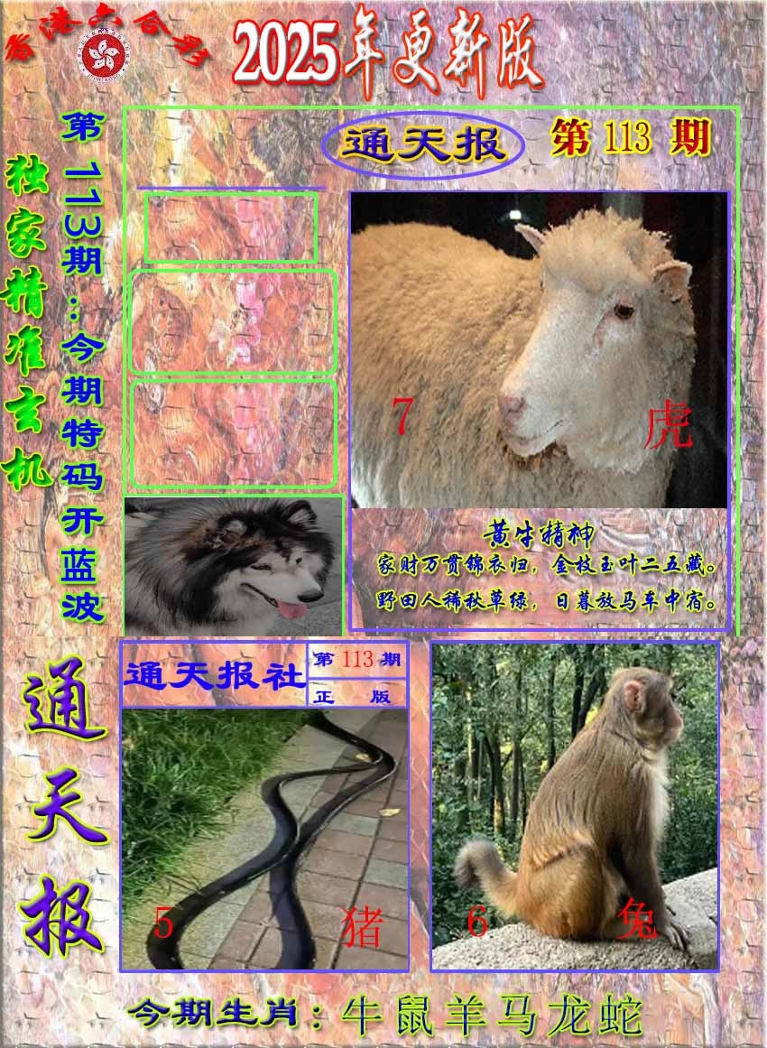 六合彩113期新通报