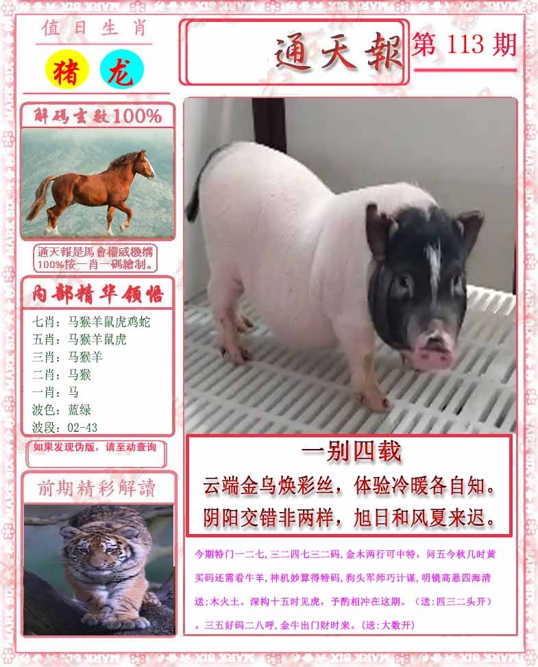 六合彩113期马经通天报