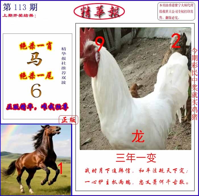 六合彩113期新精华报报