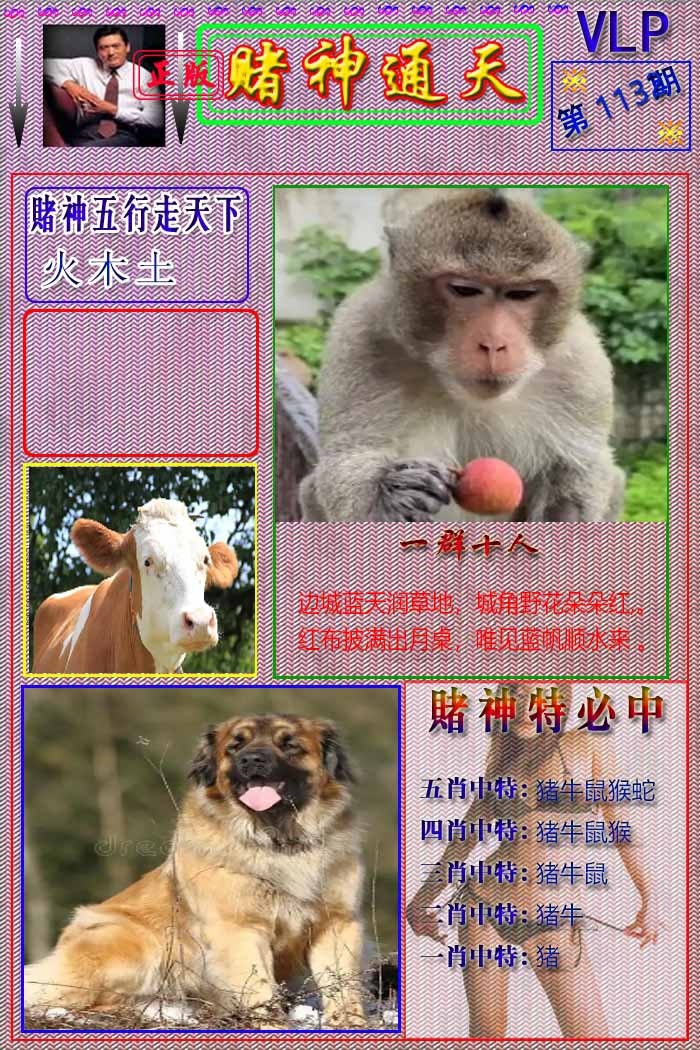 六合彩113期赌神通天报