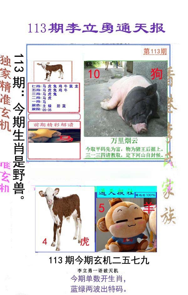 六合彩113期李立勇通天报