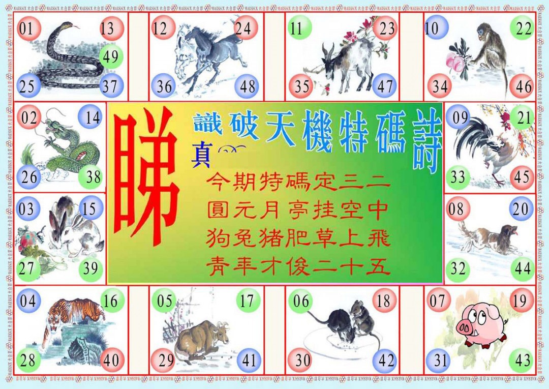 六合彩113期识破天机B版