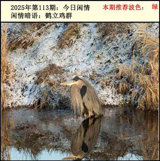 六合彩113期今日闲情2