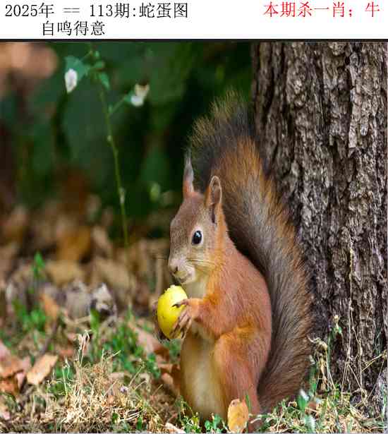 六合彩113期正版蛇蛋图