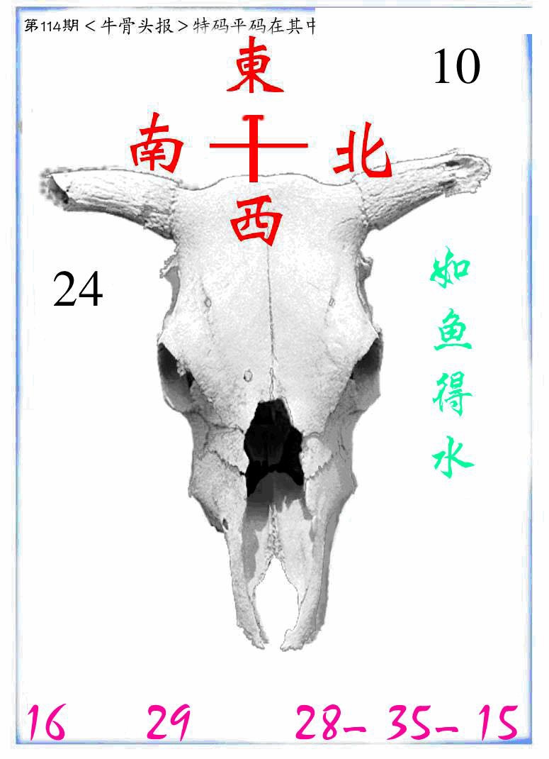 六合彩114期牛派牛头报