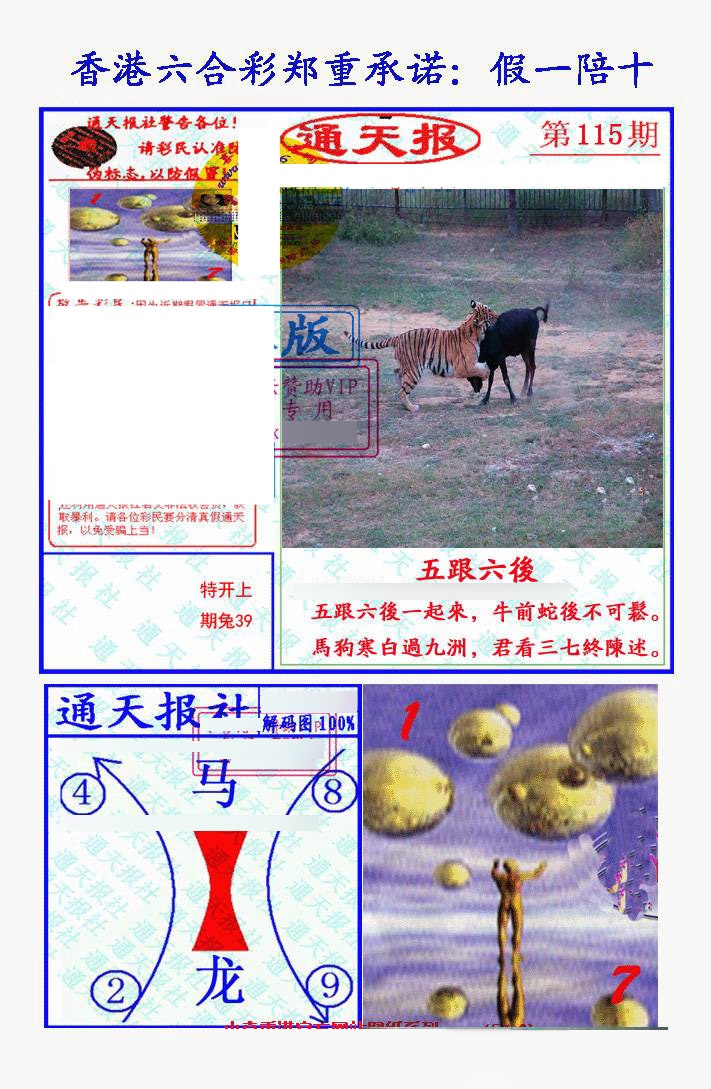 六合彩115期假一陪十通天报