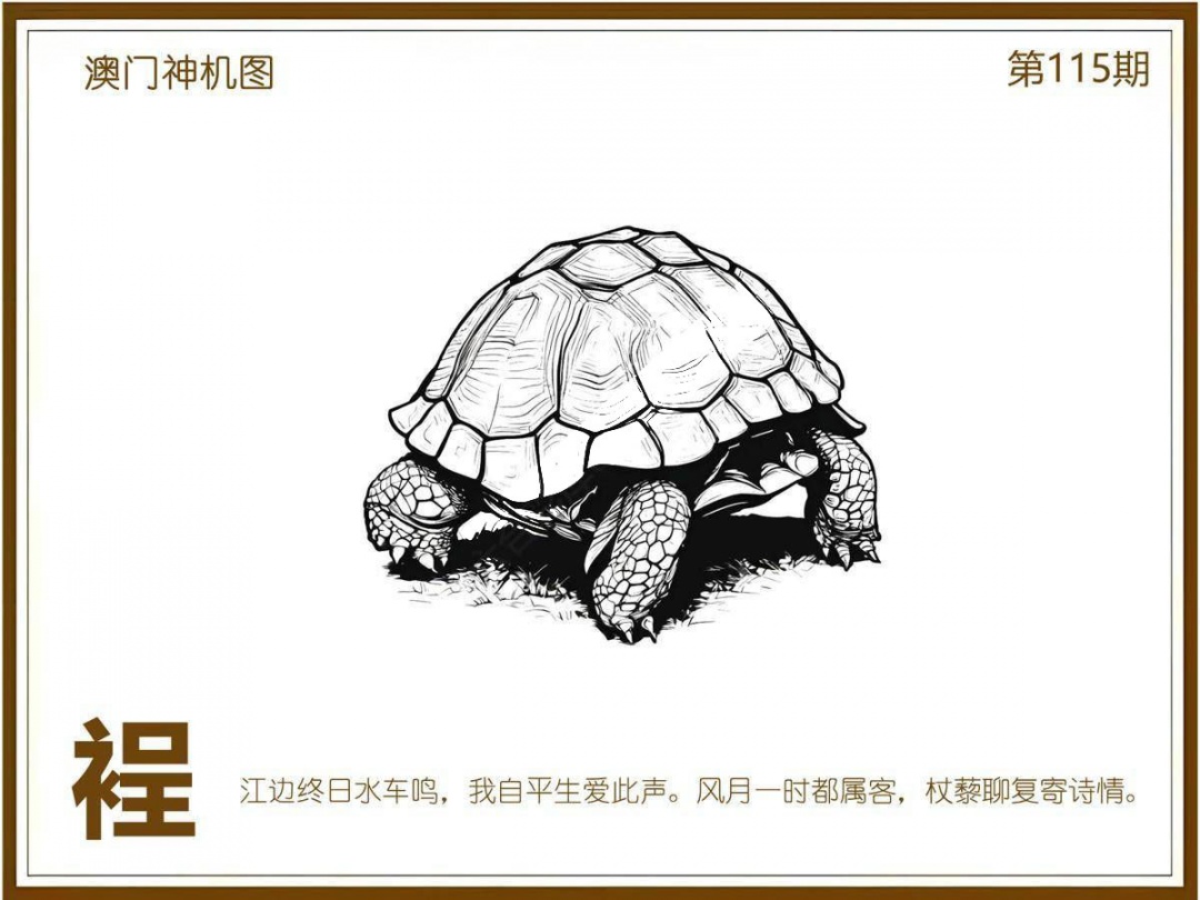 六合彩115期澳门神机图