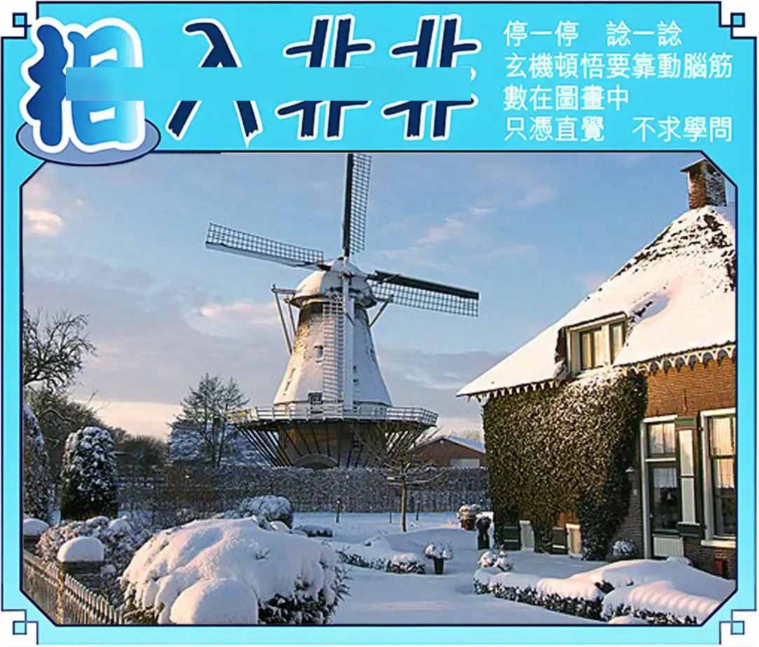 六合彩115期相入非非