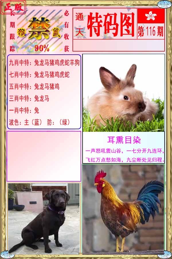 六合彩116期特码图