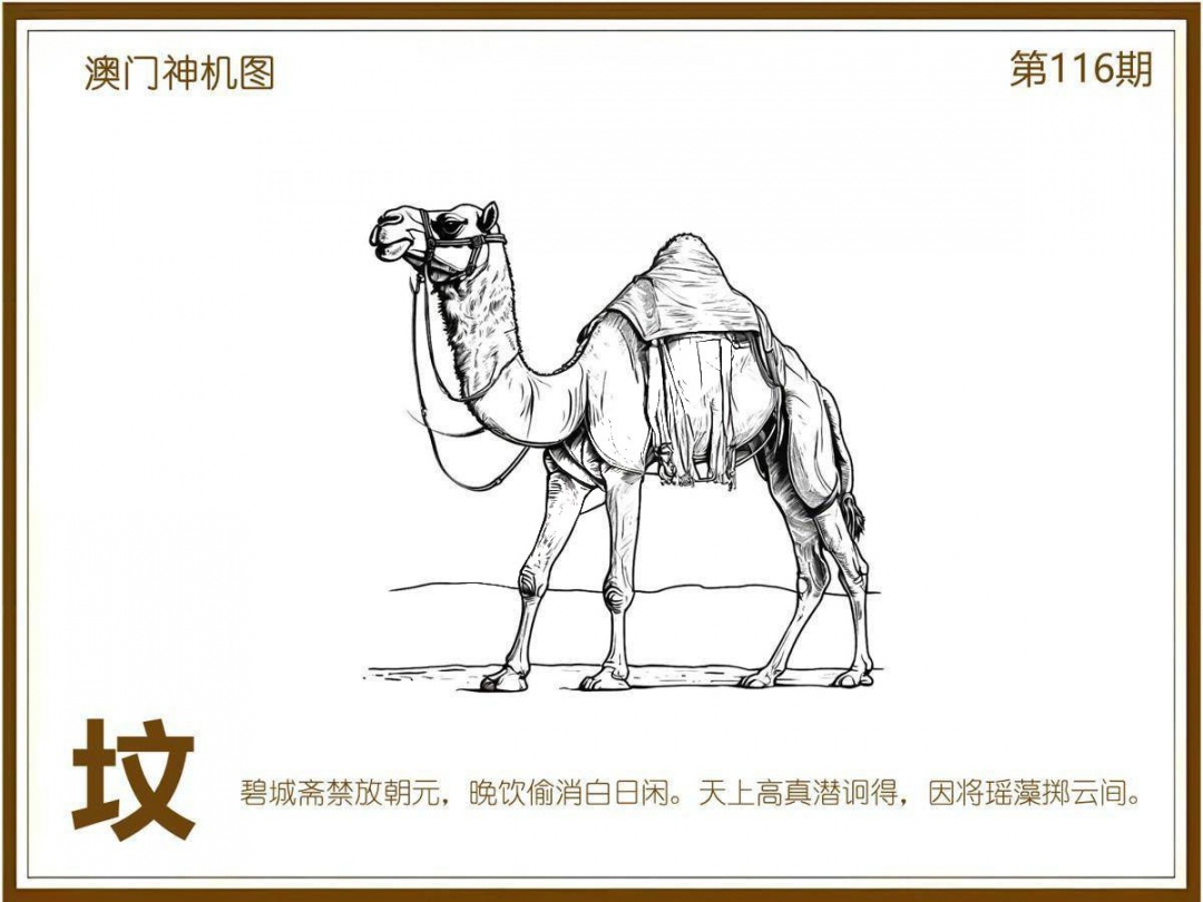 六合彩116期澳门神机图