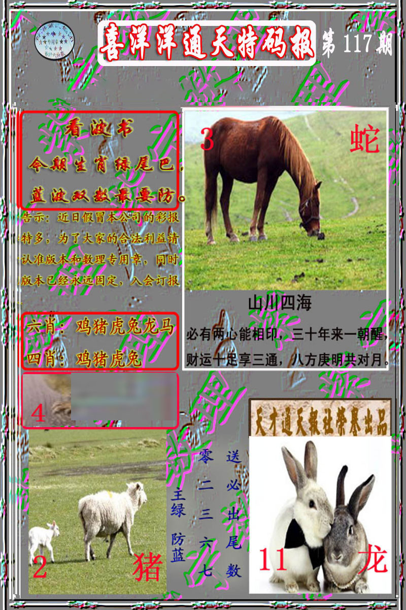 六合彩117期洋通报