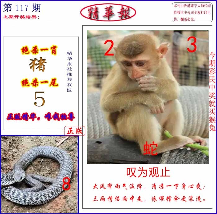 六合彩117期新精华报报