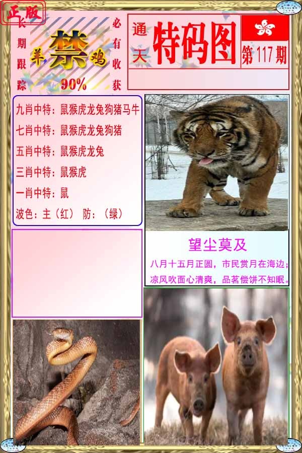 六合彩117期特码图