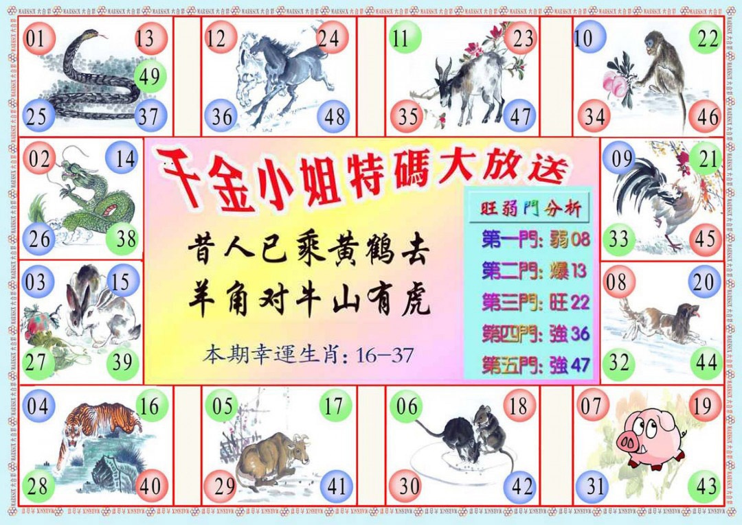 六合彩118期千金小姐B版