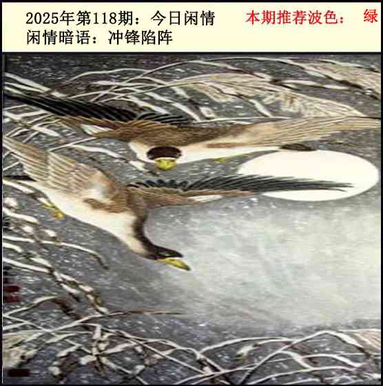 六合彩118期今日闲情2