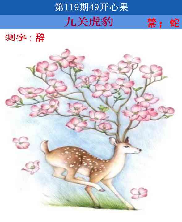 六合彩119期四九开心果