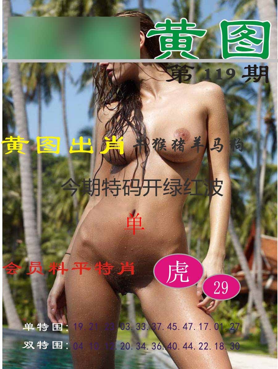 六合彩119期黄图