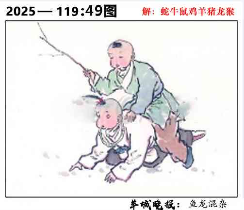 六合彩119期49图