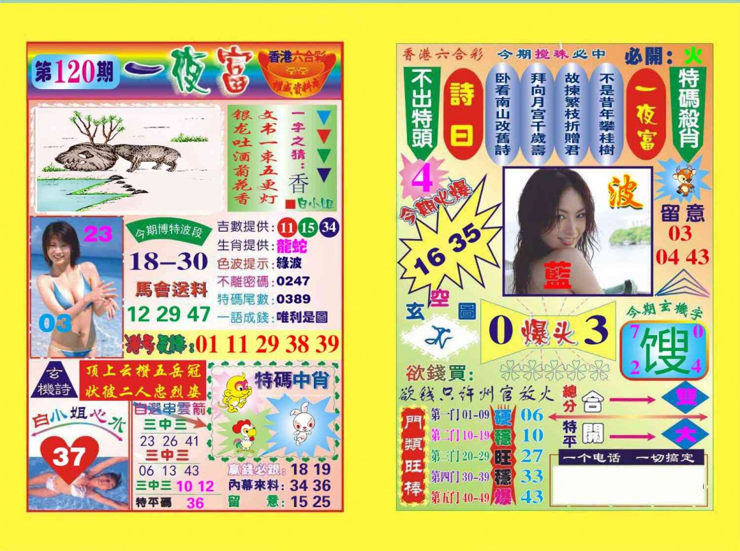 六合彩120期一夜富