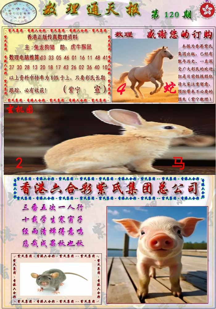 六合彩120期数通报