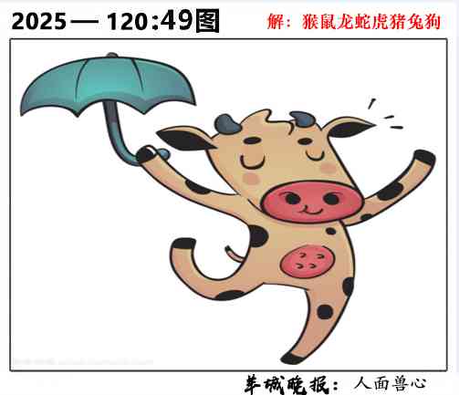 六合彩120期49图