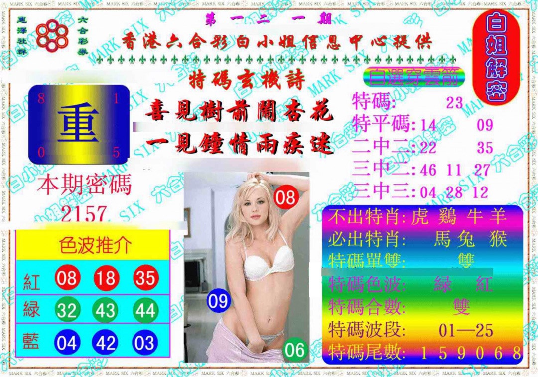 六合彩121期白姐解密《另版》