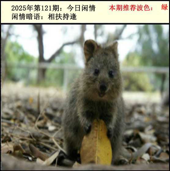 六合彩121期今日闲情2