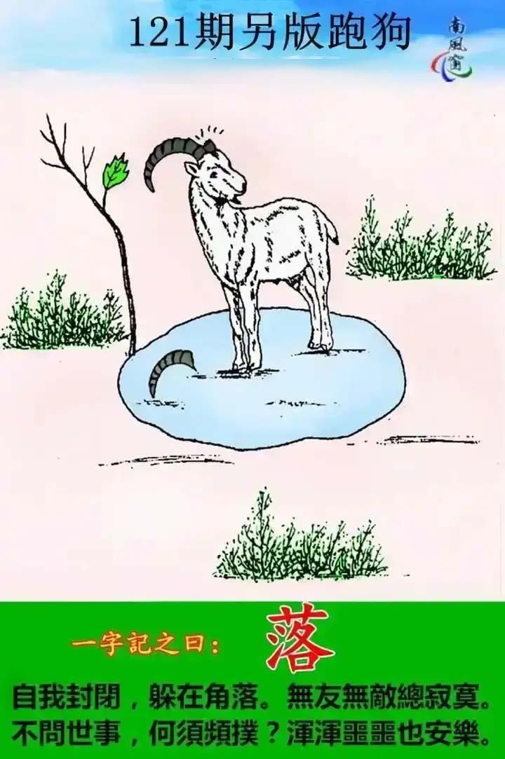 六合彩121期另版跑狗