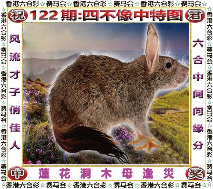 六合彩122期四不像中特图