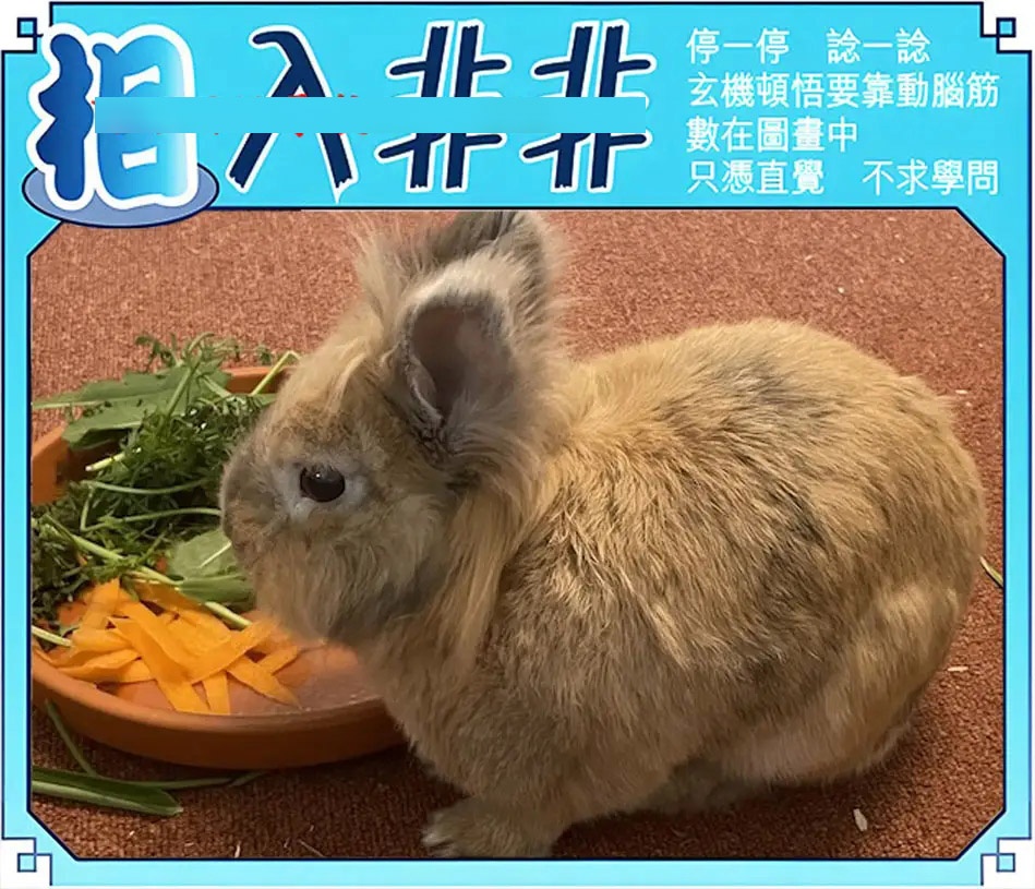 六合彩122期相入非非