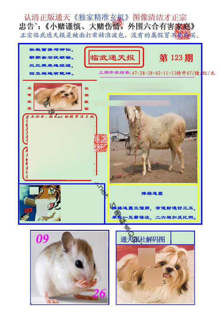 六合彩123期临武通天报
