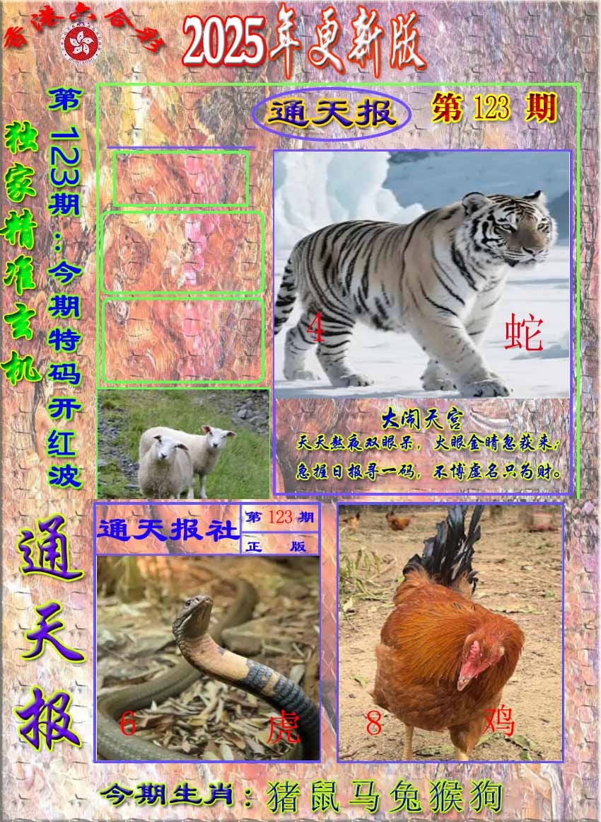 六合彩123期新通报